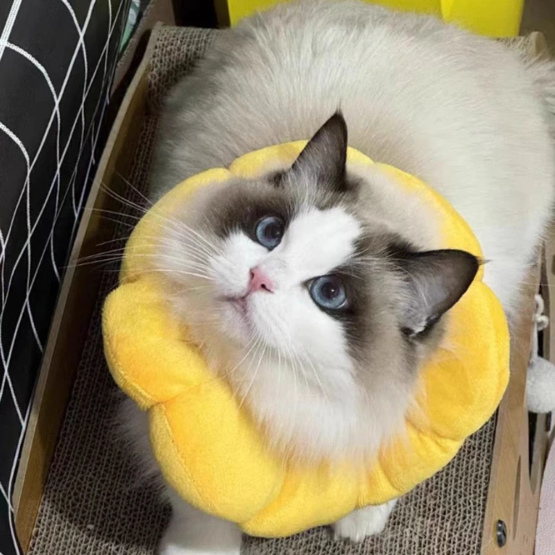 Collar de recuperación suave para mascotas después de la cirugía, cono elisabetano ajustable de algodón para gatos, protección antipatadas para heridas - imagen 5