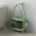 TV Matcha green