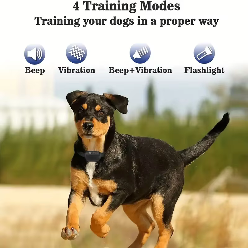 Collar adiestramiento sin descarga recargable e impermeable para perro - imagen 3