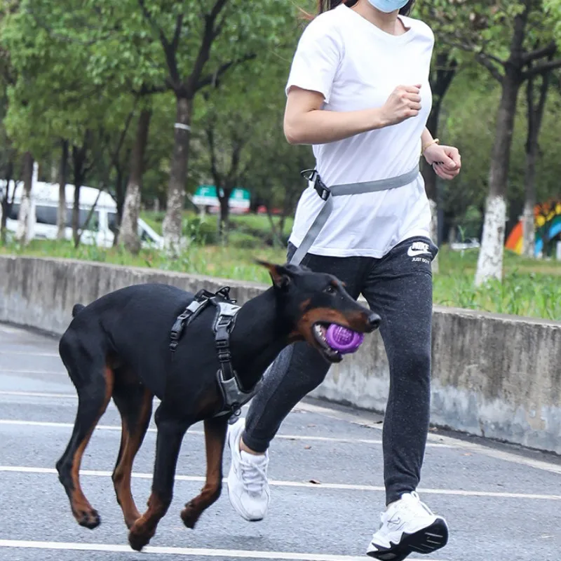 Correa de nailon para perros, correas elásticas para caminar, trotar, multifunción, suministros para mascotas - imagen 2