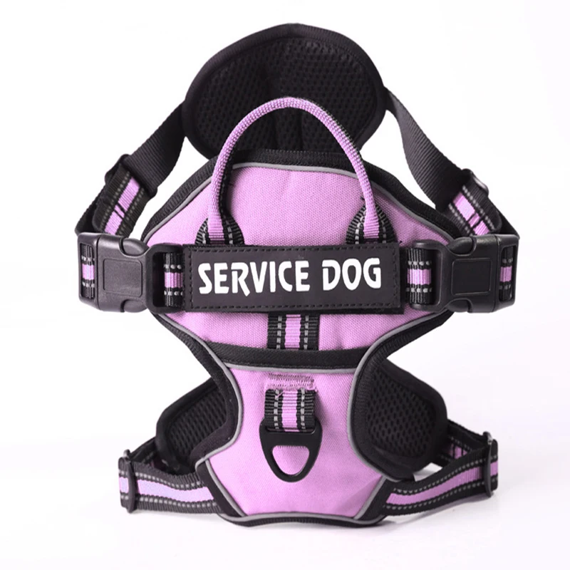 Pink Harness