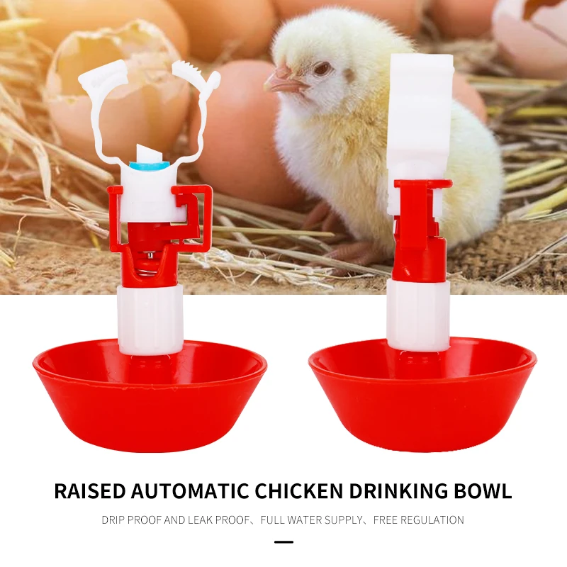 Bebedero automático de agua para pollos y aves, cuenco colgante para beber, bebedero para codornices, accesorios para granja, 5/10 juegos
