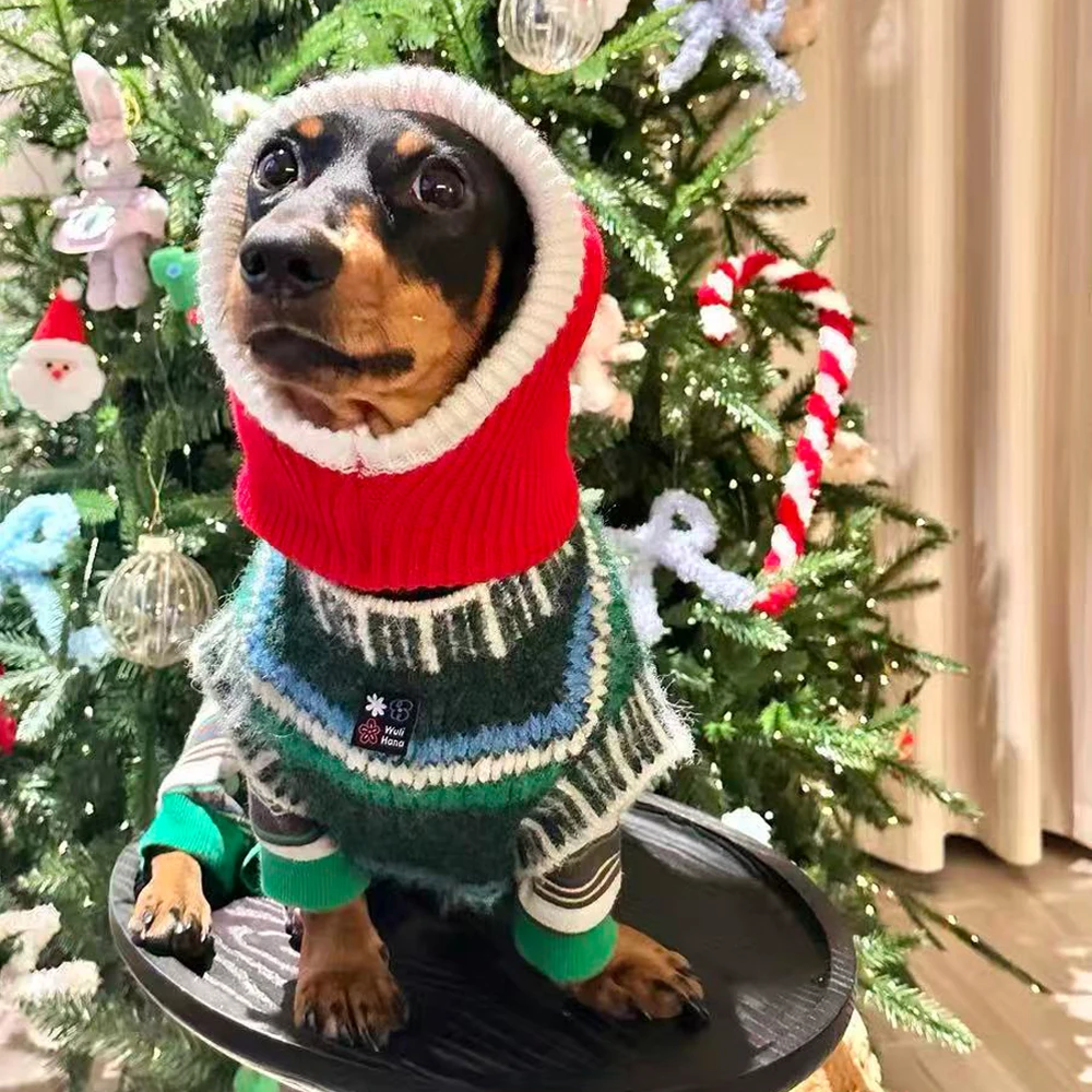 Abrigo de punto hecho a mano de Navidad para perros Wiener, ropa de descanso de otoño para perro salchicha, suéter británico clásico de invierno, chaleco para vacaciones - imagen 3