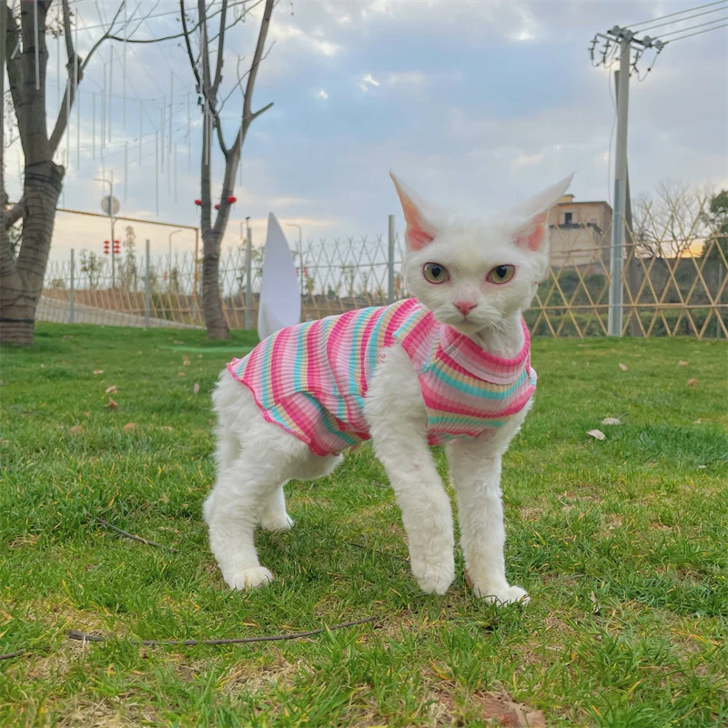 Ropa para gato hembra Camiseta arcoíris para gato sin pelo Verano Chaleco de algodón rosa para Sphinx Cat Devon Ropa de estar por casa rizada en primavera Mono fresco para cachorros en clima cálido - imagen 3