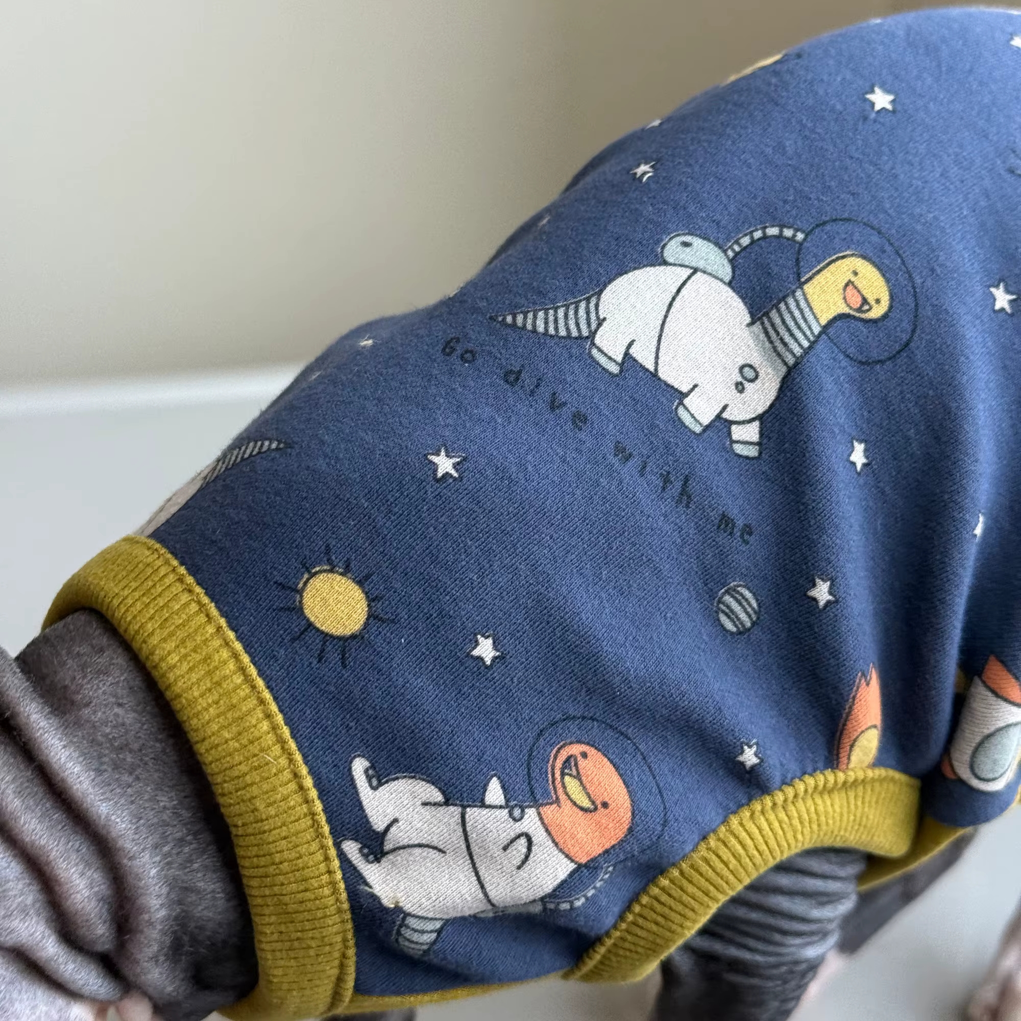 Camiseta sin mangas azul gato Sphynx estampado dinosaurio otoño - imagen 4