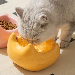 Cuenco de cerámica para gato con protector de cuello
