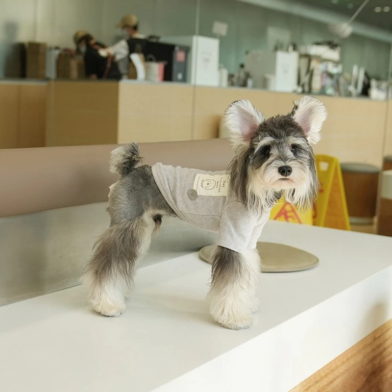 Camisa básica de cuello alto de Color sólido para otoño/invierno, camiseta de invierno de peluche, ropa para perros pequeños con dos patas