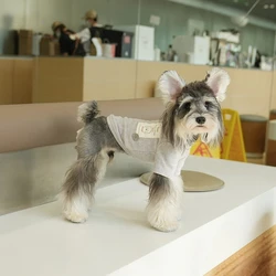 Camisa básica de cuello alto de Color sólido para otoño/invierno, camiseta de invierno de peluche, ropa para perros pequeños con dos patas