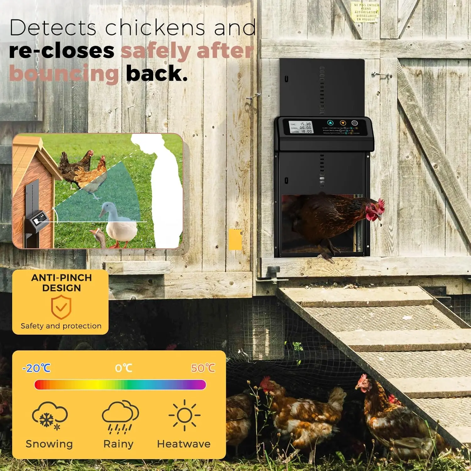 Puerta automática gallinero: temporizador LCD antipellizco para pollos - imagen 4