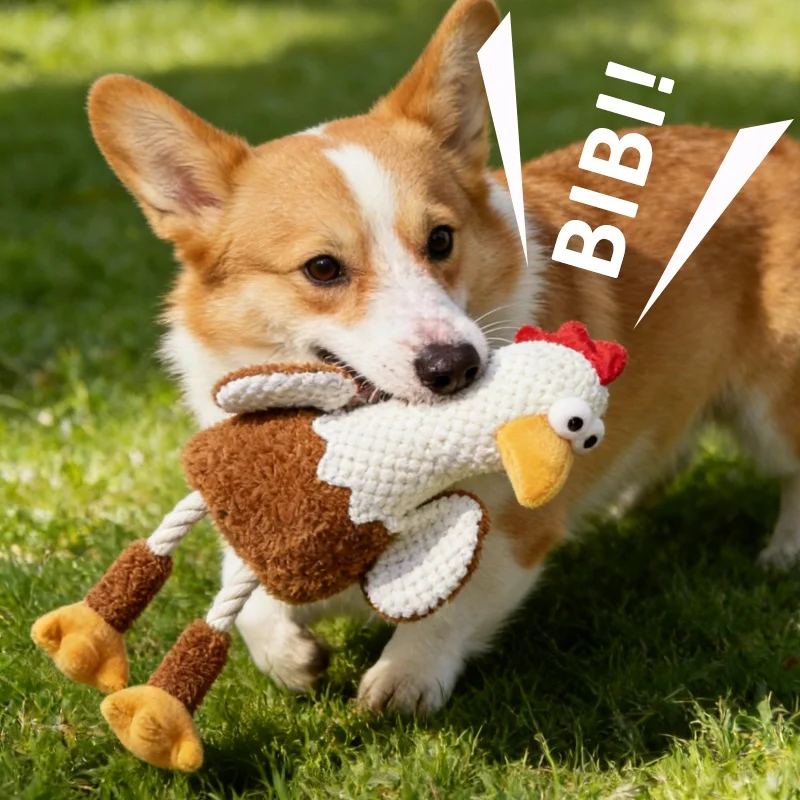 Peluche con cuerda para limpiar dientes de perro mini