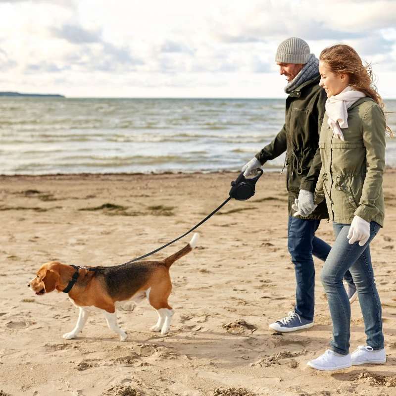 Correa de nailon para perros grandes, accesorios para cachorros, correas para perros y gatos con cuenco, almacenamiento de agua, mascotas, gatos, perros, correa para exteriores - imagen 3