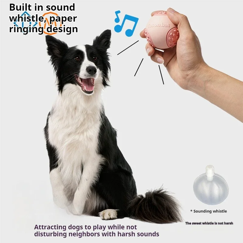 Suministros para mascotas resistentes al sonido, resistente a las mordeduras, juguete para cachorros, agua flotante, pelota interactiva de goma para perros - imagen 4