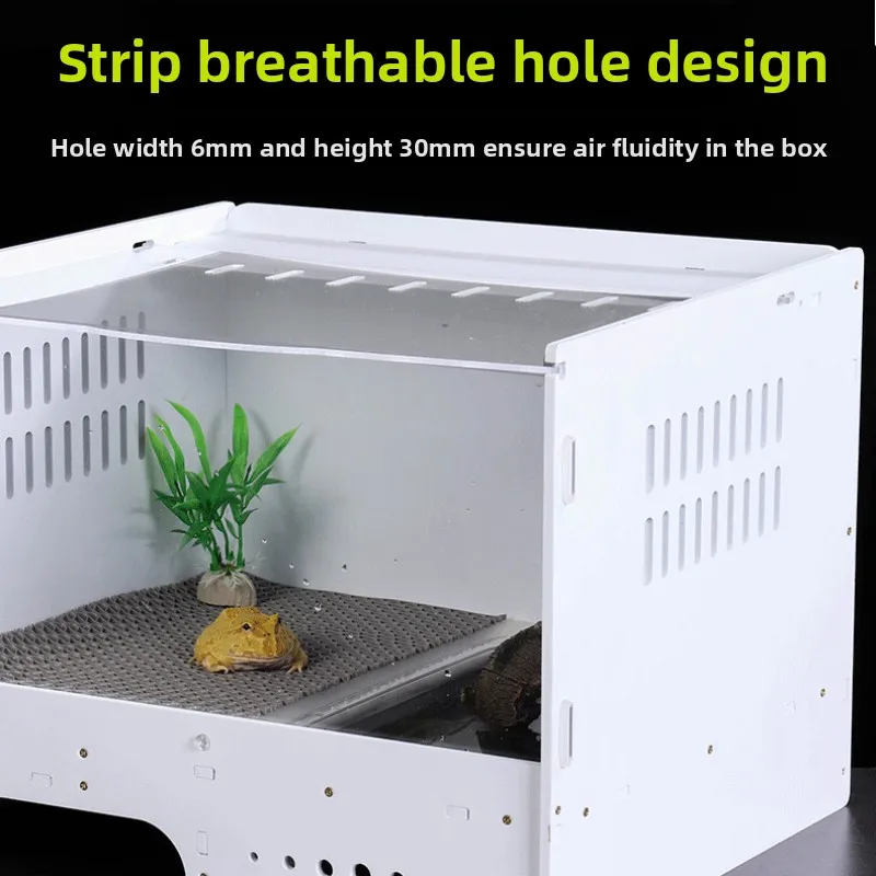 Caja de cría anfibia, suministros para reptiles y lagartos, terrario, ranas con cuernos, cangrejos ermitaños, jaula de cría, tablero ecológico acrílico de araña - imagen 5