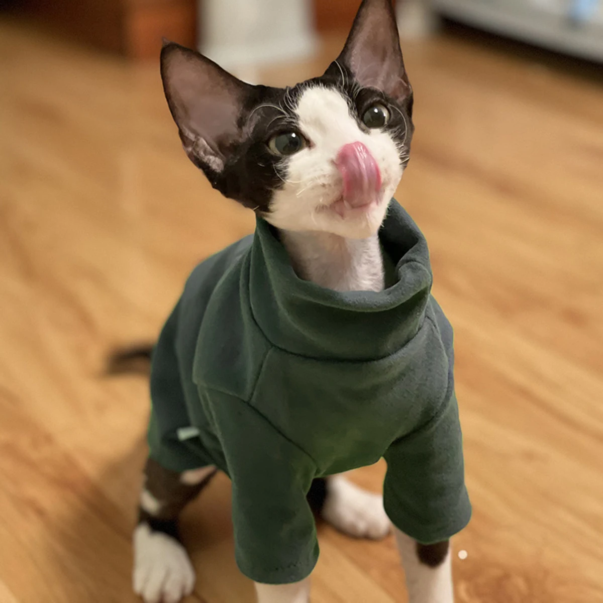 Sphynx-ropa para gatos de algodón suave para bebé, ropa para perros pequeños, disfraz de gato Cornish Devon, ropa para mascotas sin pelo, otoño e invierno - imagen 4