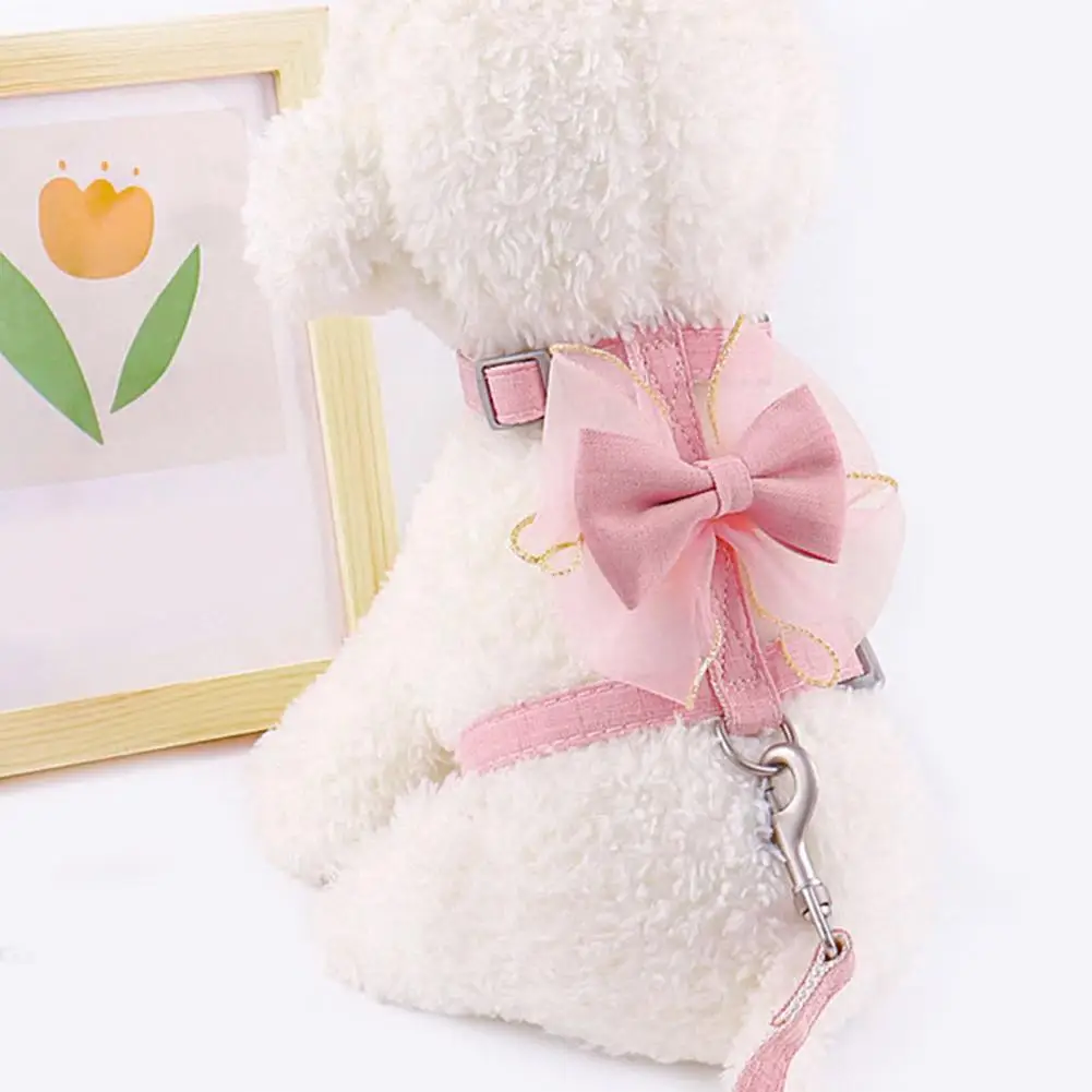 Conjunto de correa de arnés desmontable para perro y gato, conjunto de arnés para mascotas - imagen 2