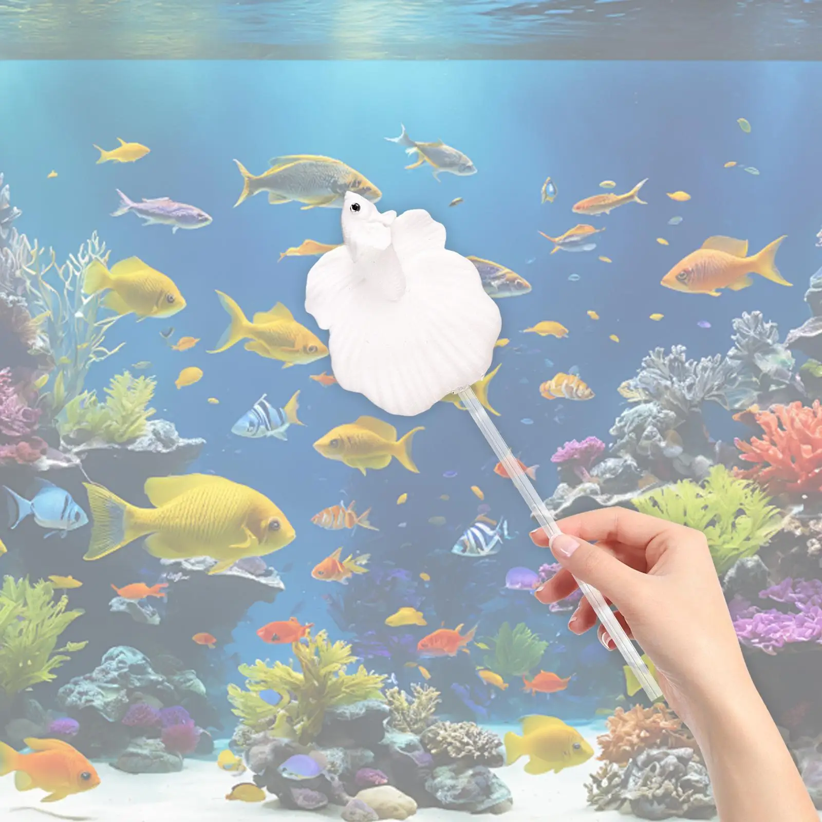 Betta Fish Training Wand,Fishtank Accessories,Sturdy,Portable,Interactive,Aquarium Fishtank Decoration Aquariums Wand Realistic Betta Fish Training Wand,Fishtank Accessories,Sturdy,Portable,Interactive,Aquarium Fishtank Decoration Aquariums Wand Realistic