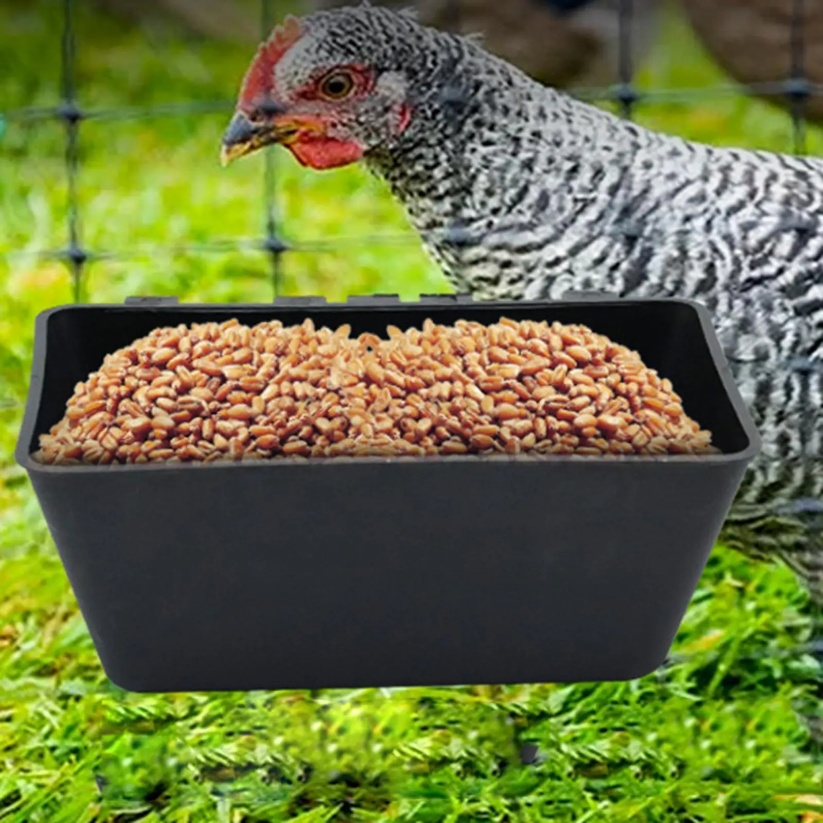 Comedero para valla colgante, comedero para cabras, comedero multiusos para aves de corral, cubo de agua para ganado, para pato, pollo, lechones, ovejas y caballos - imagen 3