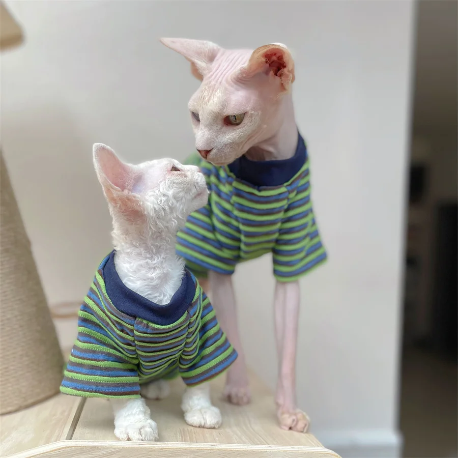 Sphynx CAT Summer Fashion Garment Green STRIPE Cotton Pyjama gatito soft polo camiseta gato macho Devon Rex abrigo - imagen 2