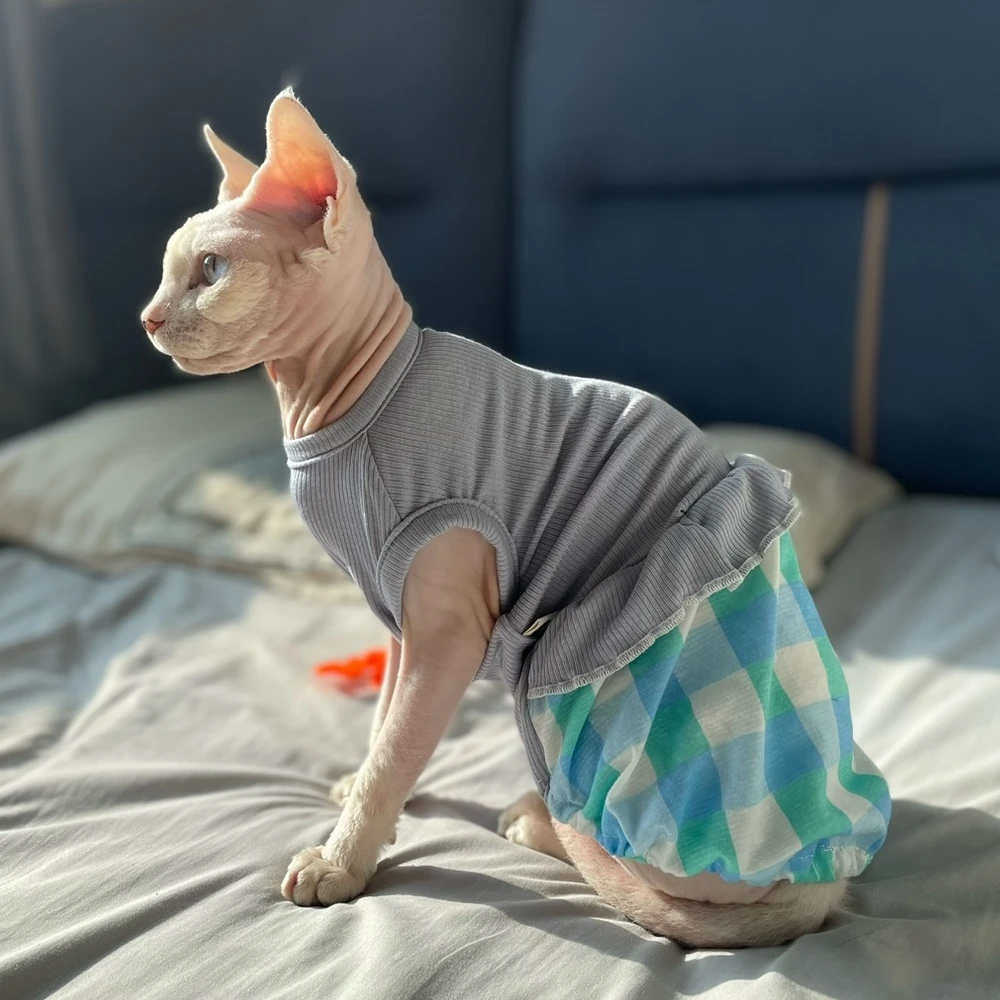Vestido de algodón para un gato Falda de burbujas de encaje de verano para Sphynx Chaleco sin mangas suave de gato para gatitos Abrigo de cuadros dulces para Devon Rex - imagen 4
