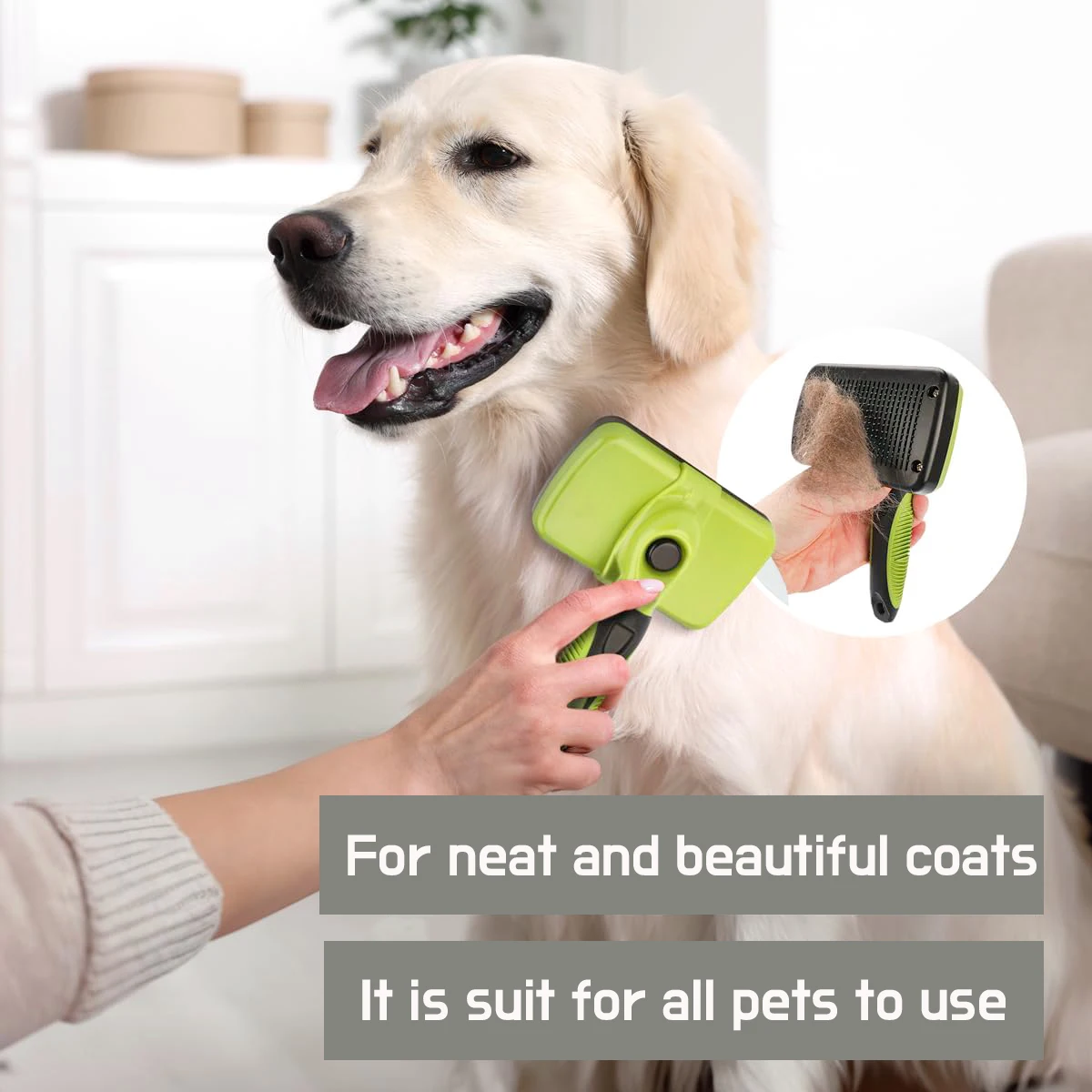 Juego de aseo profesional para perros y gatos, cepillo de masaje para gatos, cepillo de limpieza, cepillo de capa inferior, 6 piezas - imagen 5