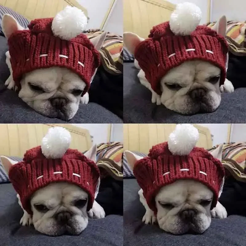 Gorro cálido de invierno para perro, gorro de Navidad para mascotas, accesorios para perros, sombrero de lana para cachorros con bola, sombreros para perros pequeños, Bulldog francés - imagen 4