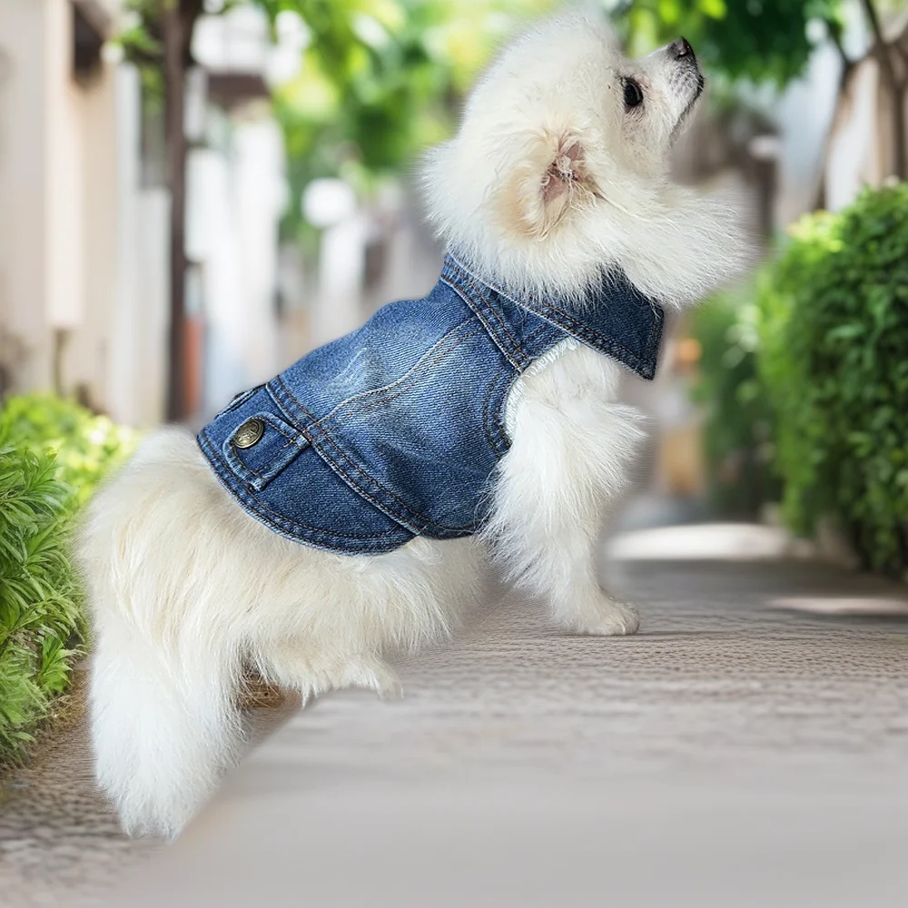 Chaqueta vaquera para perros pequeños y medianos: elegante chaleco vaquero con capucha para niños, disfraz de verano para mascotas, perfecto para gatos y cachorros