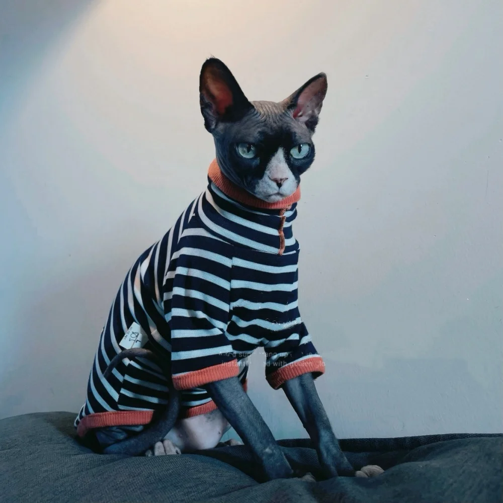 Camiseta de capa Base a rayas con cuello alto para gato Sphynx, abrigo de manga larga a la moda de otoño para gatos masculinos, sudadera negra para gatitos - imagen 3
