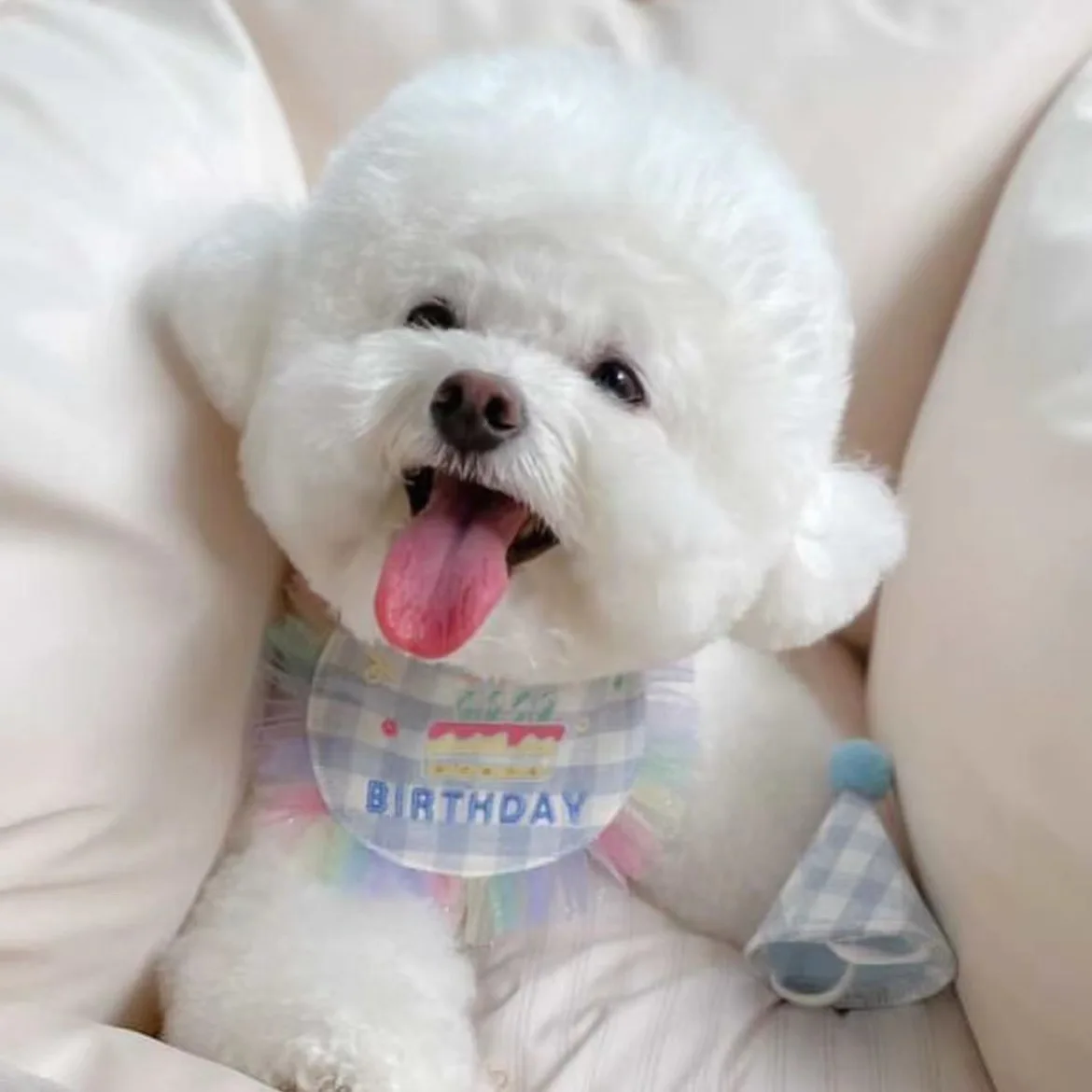 微信图片_20221007221119