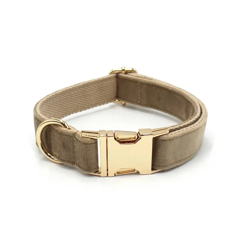 1 unidad Otoño Invierno terciopelo marrón Beige Collar de perro XS-XL ajustable personalizado logotipo láser collares para mascotas gato Collar para mascotas cables - imagen 4
