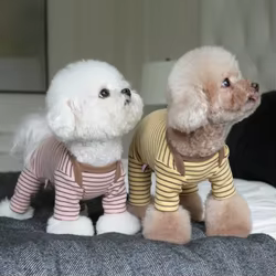 Mono peluche invernal para perros y gatos de casa