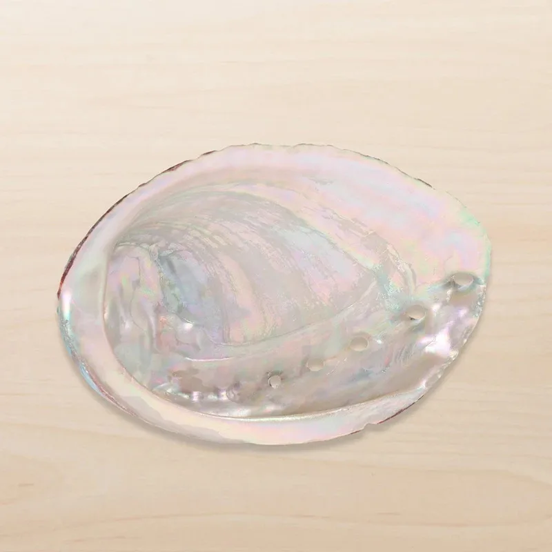 Decoración acuática de concha de abulón natural para pecera, adorno multiusos para hábitat de criaturas acuáticas, decoración encantadora para pecera - imagen 5