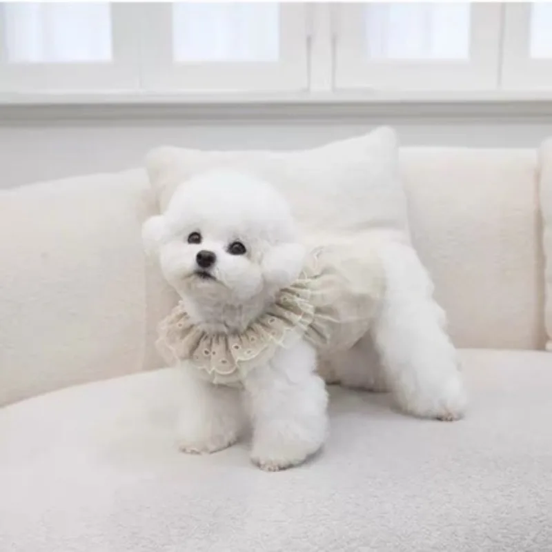 Vestido para perro, vestido de princesa con estampado de encaje y volantes, cuello de muñeca, mangas aleteadas, vestido de princesa para perros pequeños, ropa para mascotas, vestido de verano - imagen 3