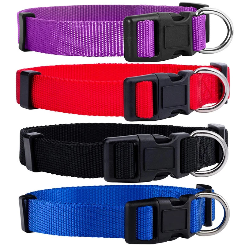 Collar perros - Vista superior