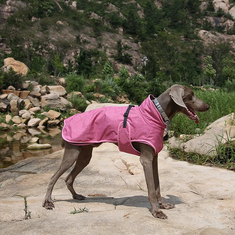 Chaqueta para exteriores para perros, forro de algodón grueso, desmontable, traje de esquí de dos prendas, a prueba de viento y cálido, Otoño e Invierno - imagen 2