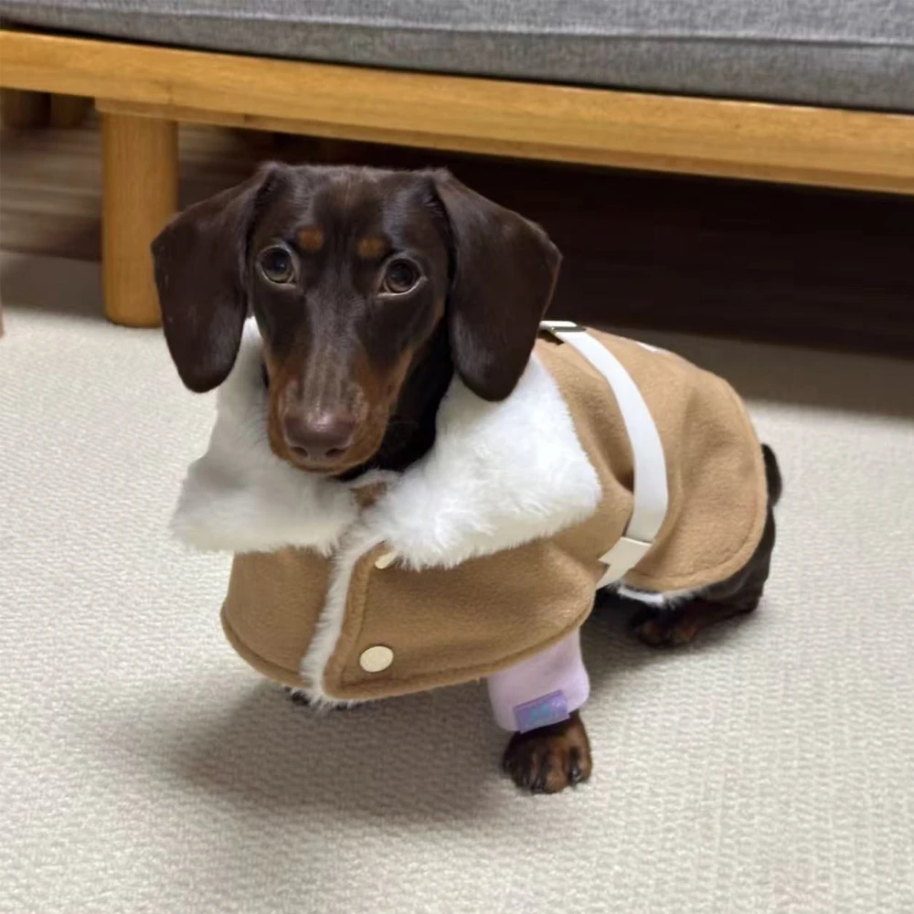 Chaqueta de capa con cintura ajustable para perros Wiener, abrigo grueso y cálido de invierno para perros salchicha, abrigo con Cuello de piel para perros pequeños de tejón - imagen 5