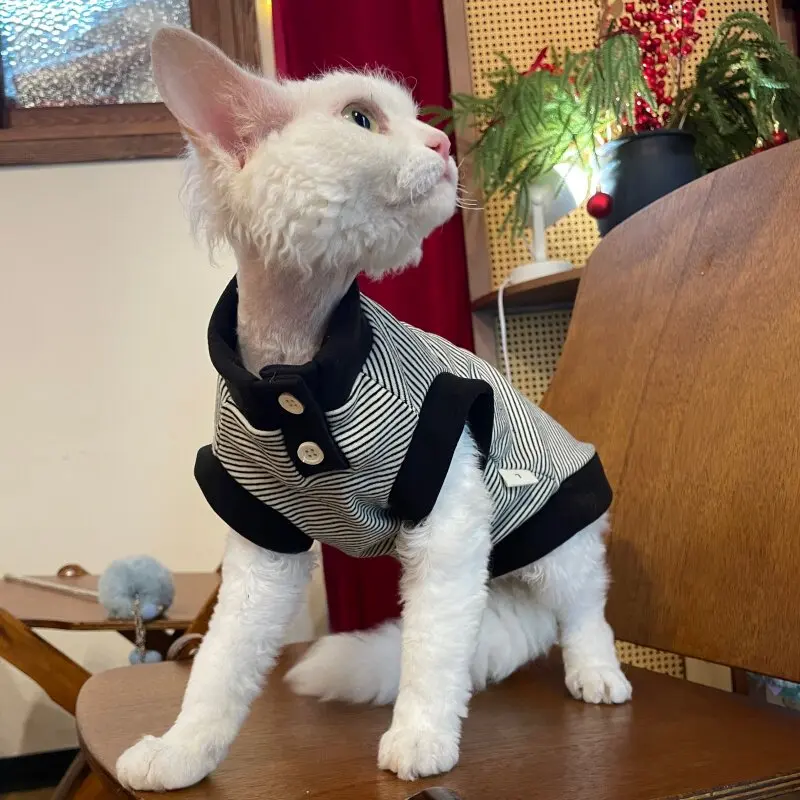 Jersey de algodón para Sphynx y perro mini – Ropa primavera - imagen 2