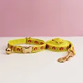 cat collar Leash07