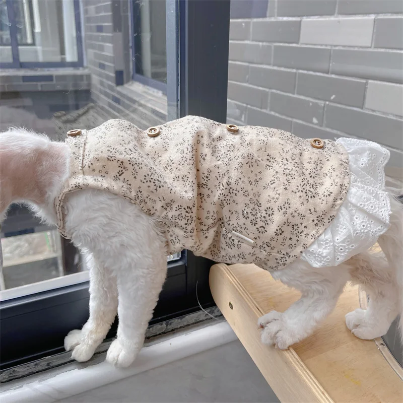 Vestidos de verano retro beige para gato Falda de algodón floral de encaje de verano para Sphynx Cat Camiseta suave para gatitos Abrigo de primavera para Devon Rex - imagen 2