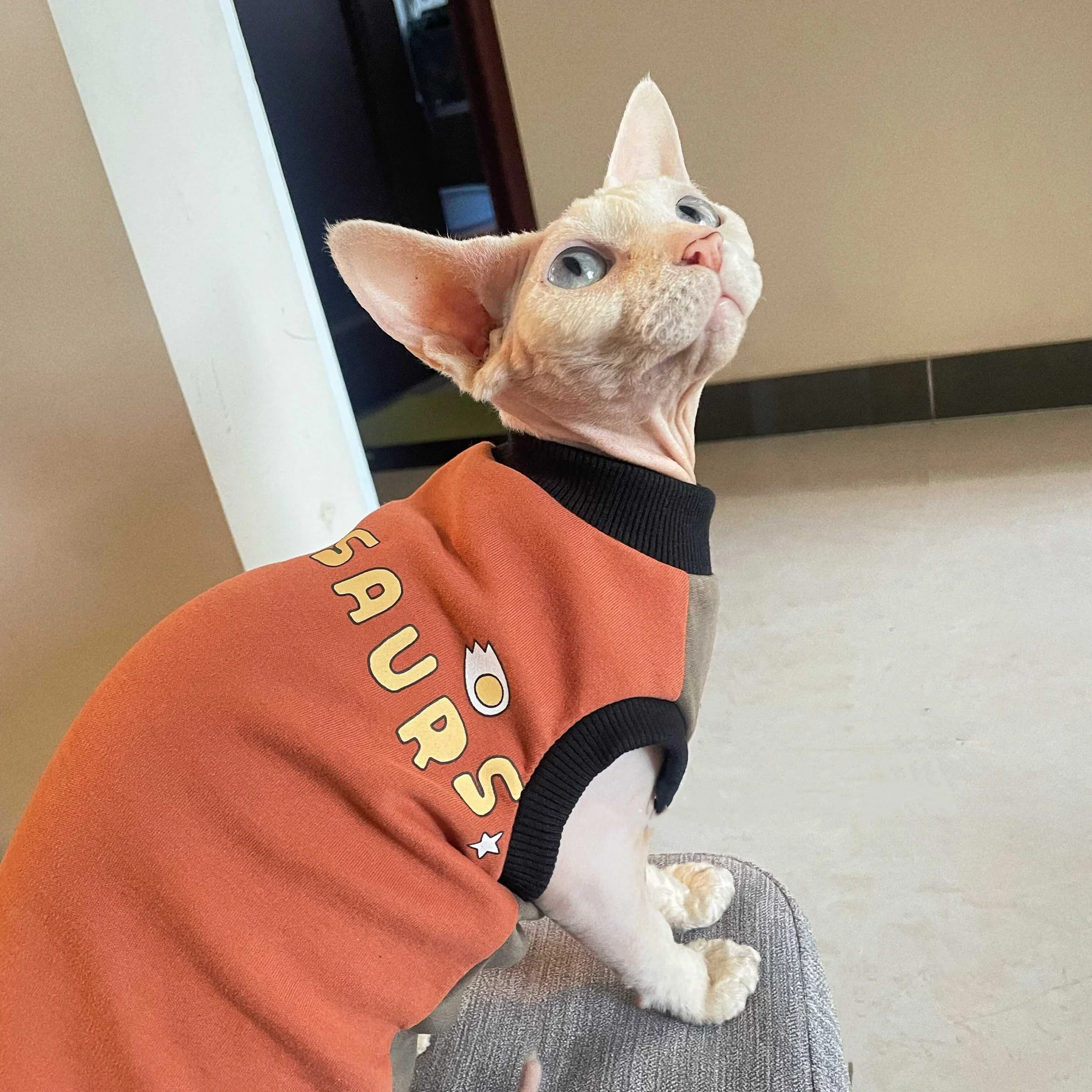Chaleco abrigo invierno para gatos Sphynx y Devon Rex – Cálido suave - imagen 3