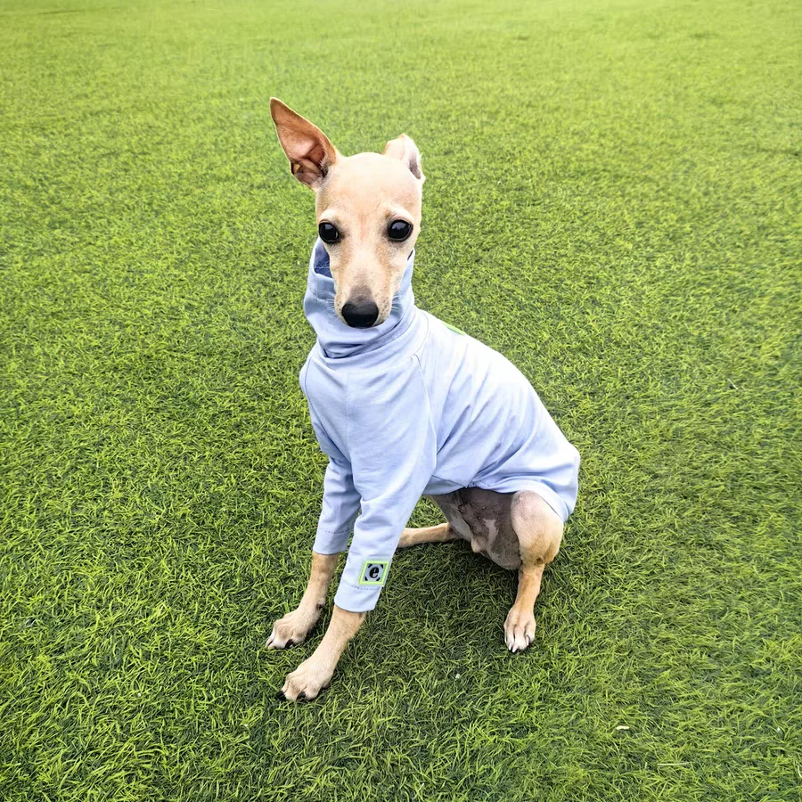 Camiseta de algodón azul suave para ropa de perro huibit abrigo elástico primavera otoño para pijama de cuello alto bedlington Little Greyhound - imagen 5
