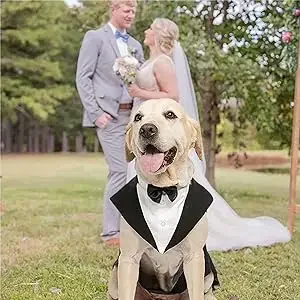 big dog Tuxedo for Wedding Pets