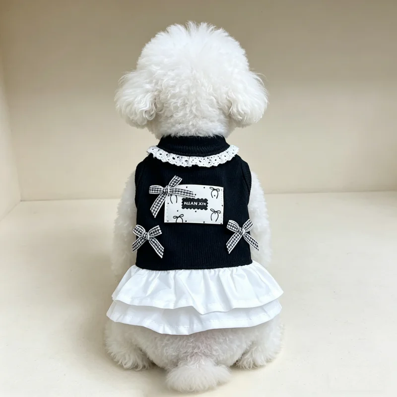 Ropa de verano ligero para perros Chihuahua y Bichón – Falda encaje
