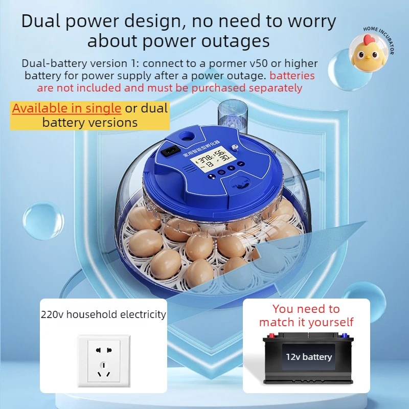 Incubadora automática huevos con volteador – Compacta - imagen 4