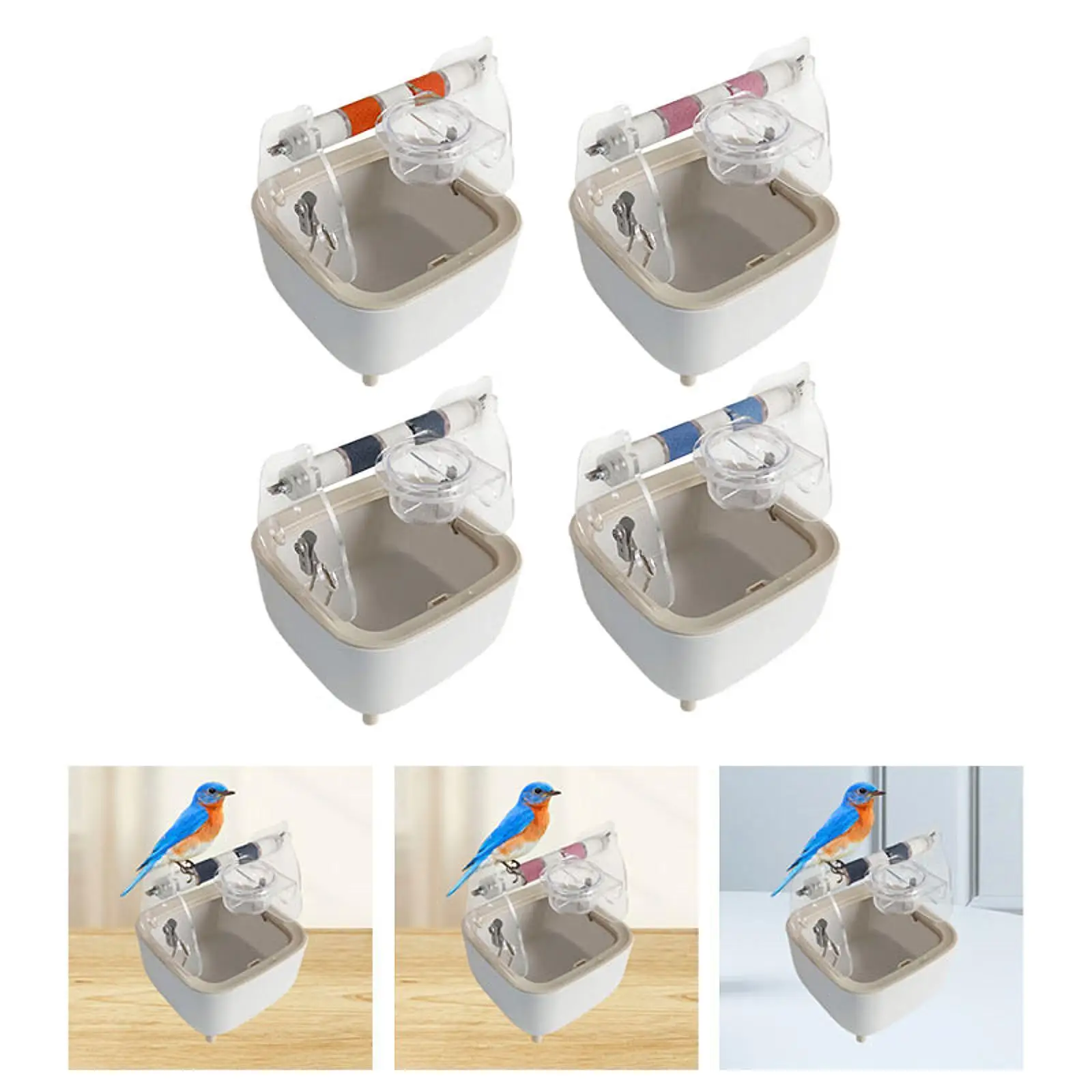 Parrot Training Toilet Stand,Parrot Perch,Gym,Multifunction Interactive Dropping Station Small Bird Perch for Parakeets Macaw