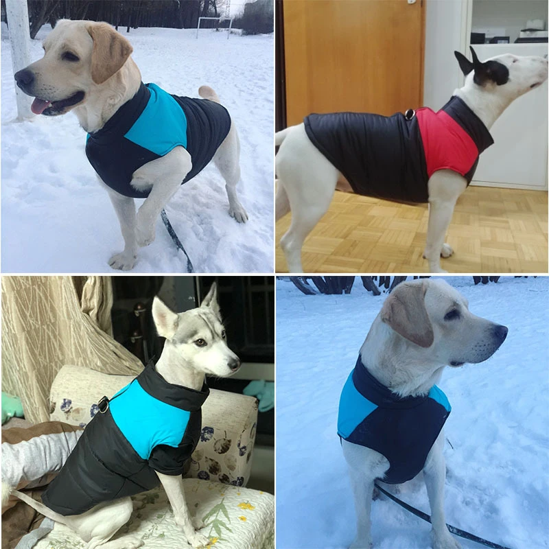 Ropa impermeable para perros grandes, abrigo cálido de invierno para mascotas, chaleco para cachorros, Bulldog Francés, chaqueta para Chihuahua - imagen 4