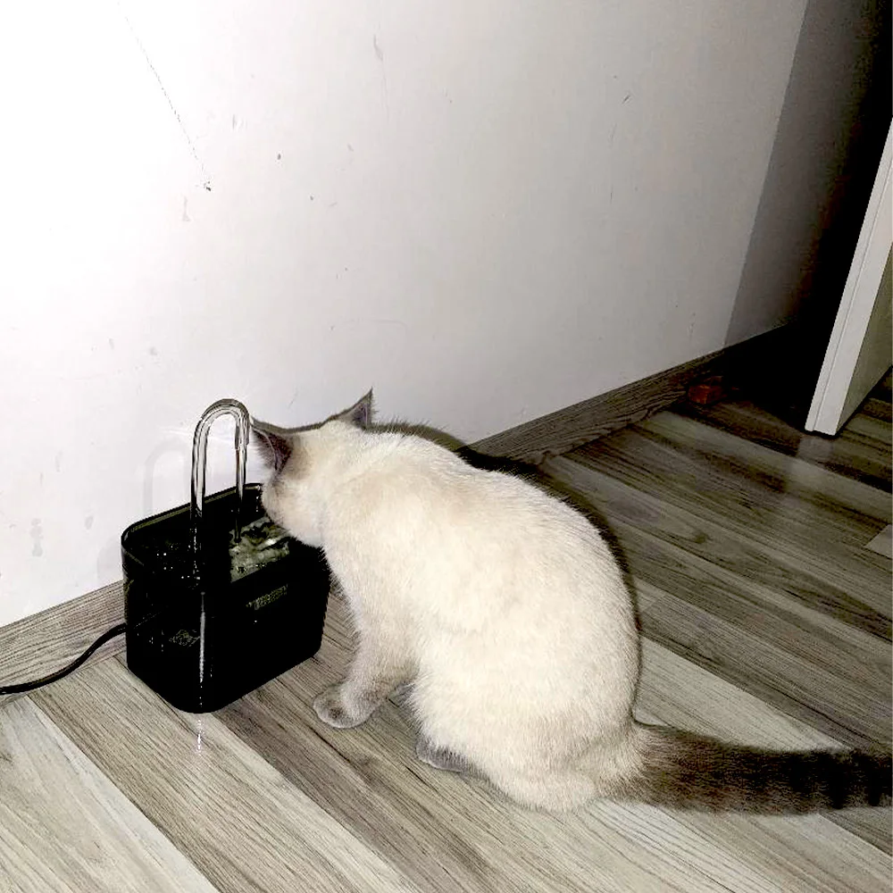 Fuente de agua para gatos con boquilla de grifo, dispensador de agua filtrado ultrasilencioso alimentado por USB para mascotas, agua circulante para gatos y perros pequeños - imagen 5