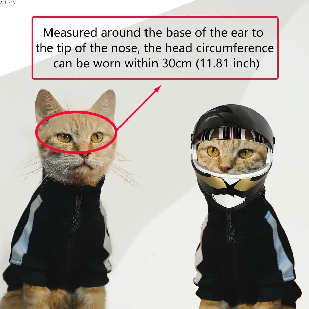 Cascos para mascotas DIY, casco para gatos, casco para perros, mini gorro seguro para proteger la cabeza al aire libre, accesorios para fotos de mascotas, mini casco de motocicleta - imagen 3