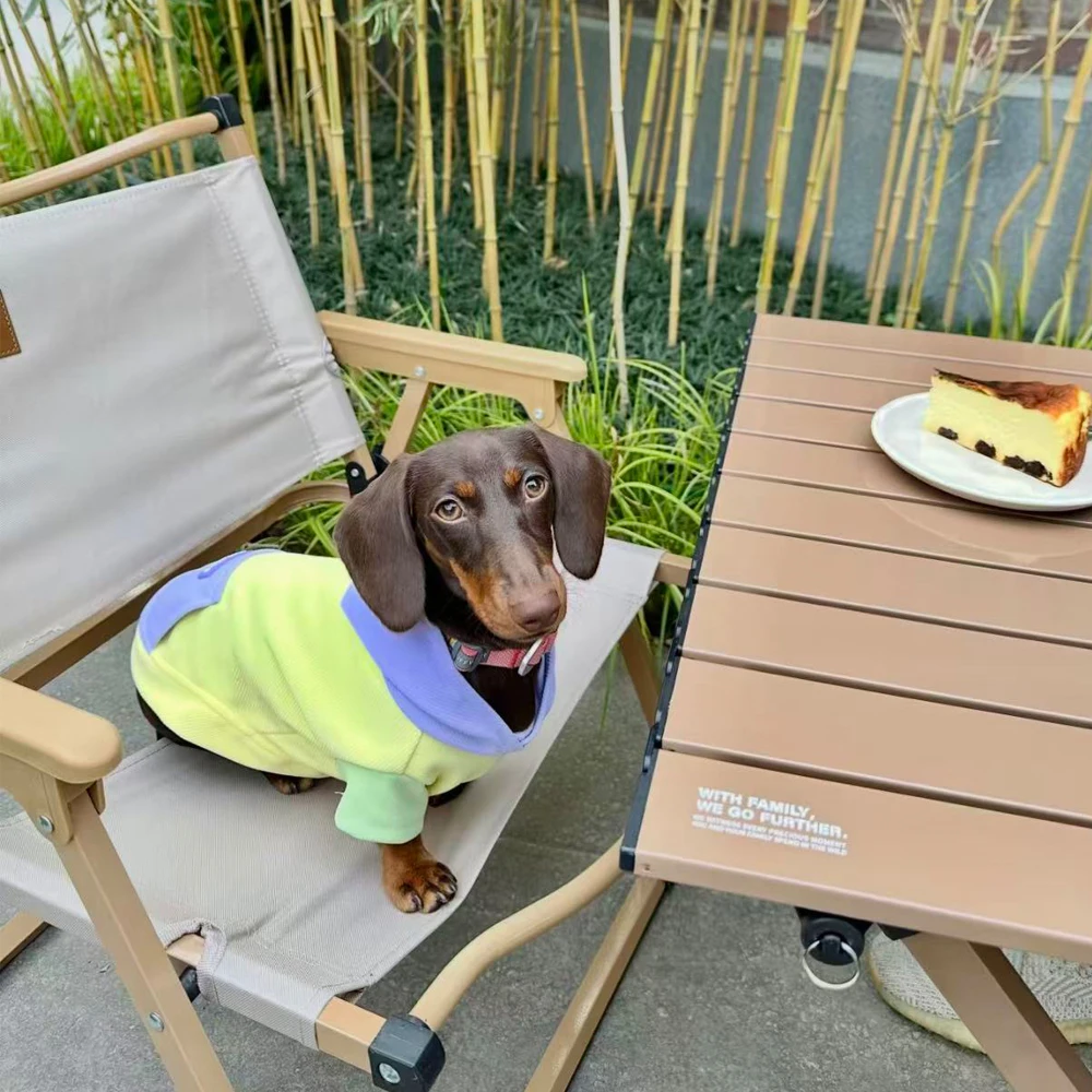 Sudadera para perro salchicha con capucha y letras, algodón primavera - imagen 3