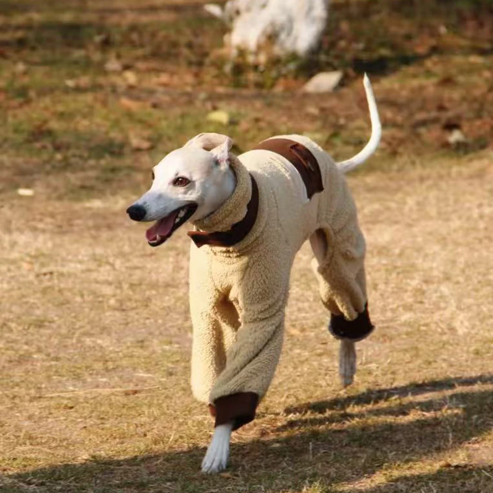Sudadera térmica de lana para Galgo y Whippet – Abrigo suave de invierno - imagen 3