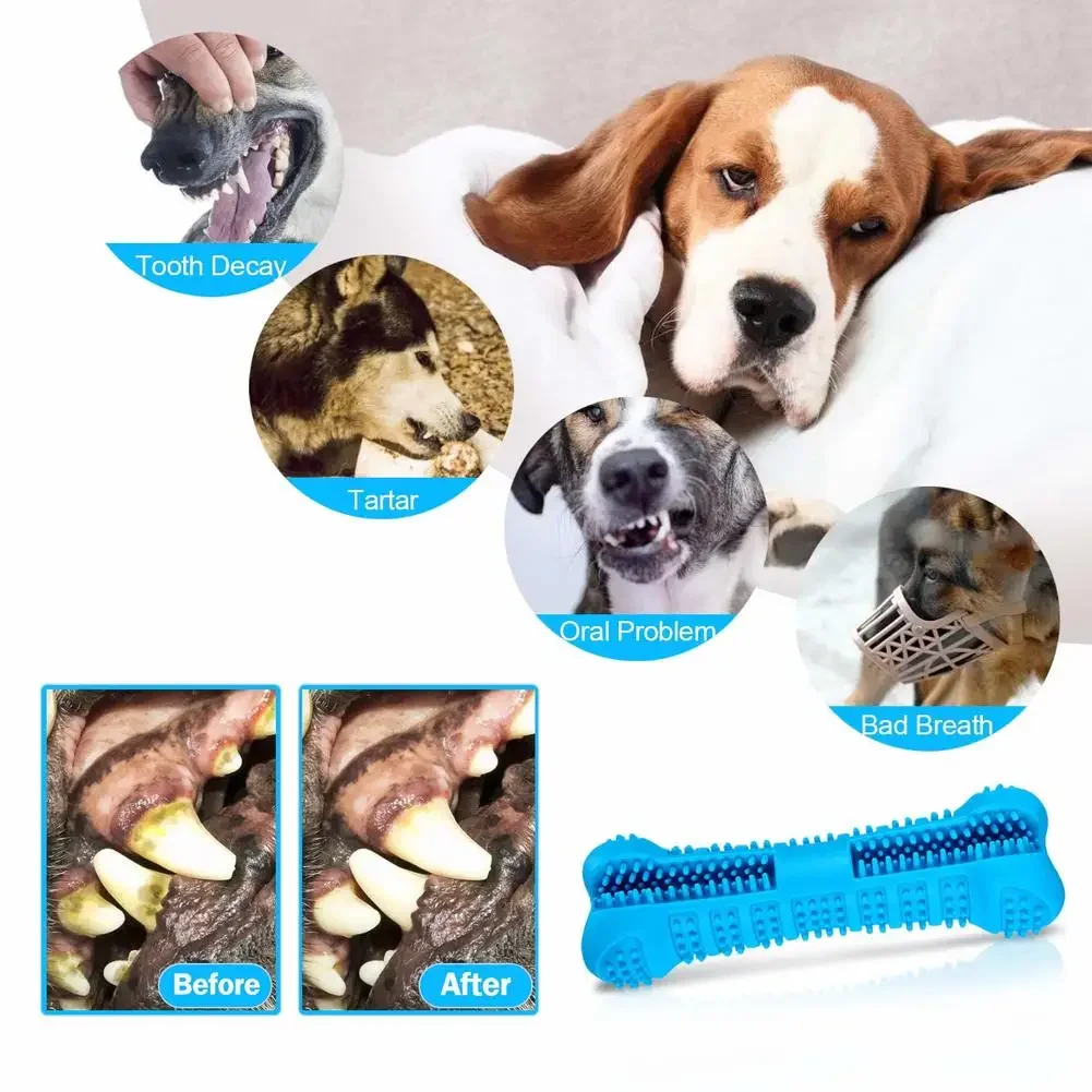 Cepillo de dientes de goma para perros y cachorros, palo de dientes Molar para masticar, Limpieza de dientes no tóxica, cuidado Dental Natural para perros de tamaño S/M - imagen 4